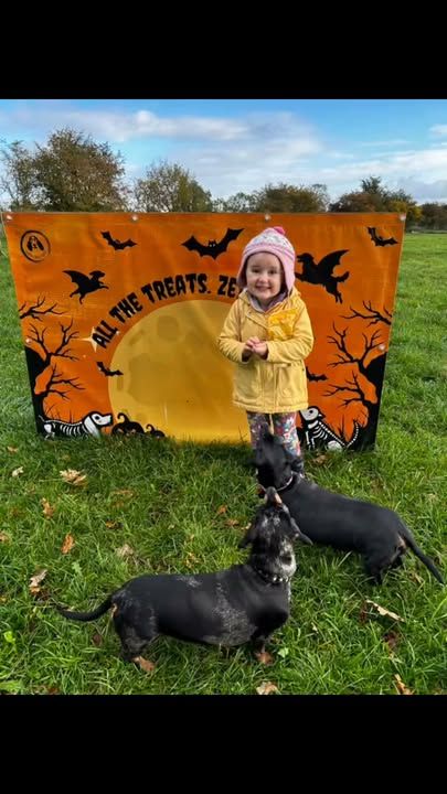 Awww, love this - love it when the whole family can enjoy the park too 🥰